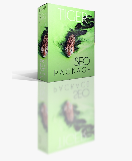 technical Seo package