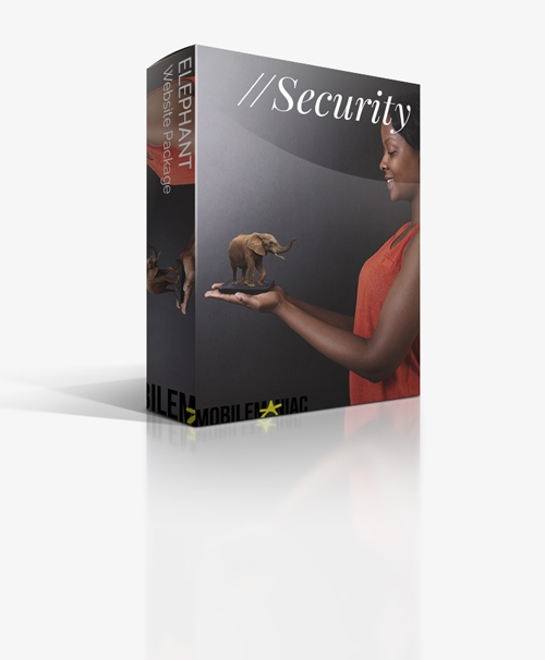 website security package